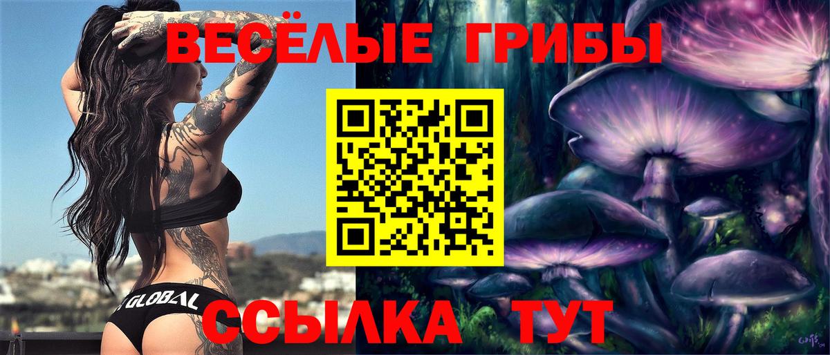 Галлюциногенные грибы Cubensis  где продают наркотики  Вход с VPN  Кудрово  Галлюциногенные грибы Psilocybe 