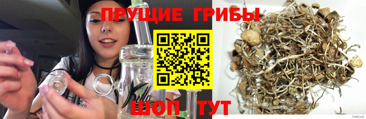 Галлюциногенные грибы ЛСД Кудрово